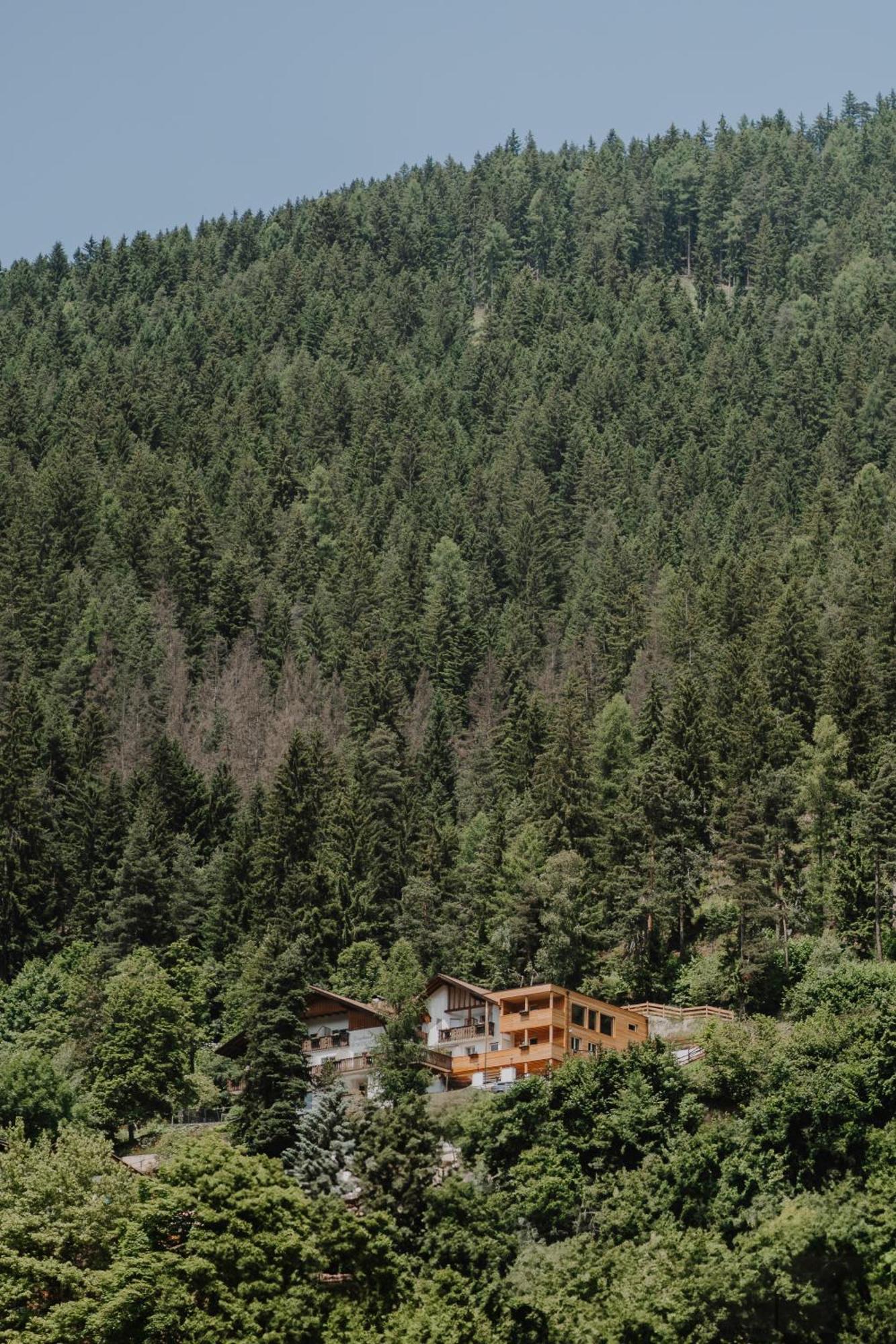 Hotel Berghaus Rosengarten Nova Levante Eksteriør bilde